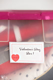 Holiday Storage Organization System