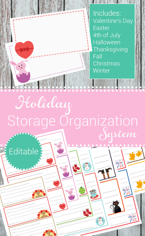 Holiday Storage Organization System